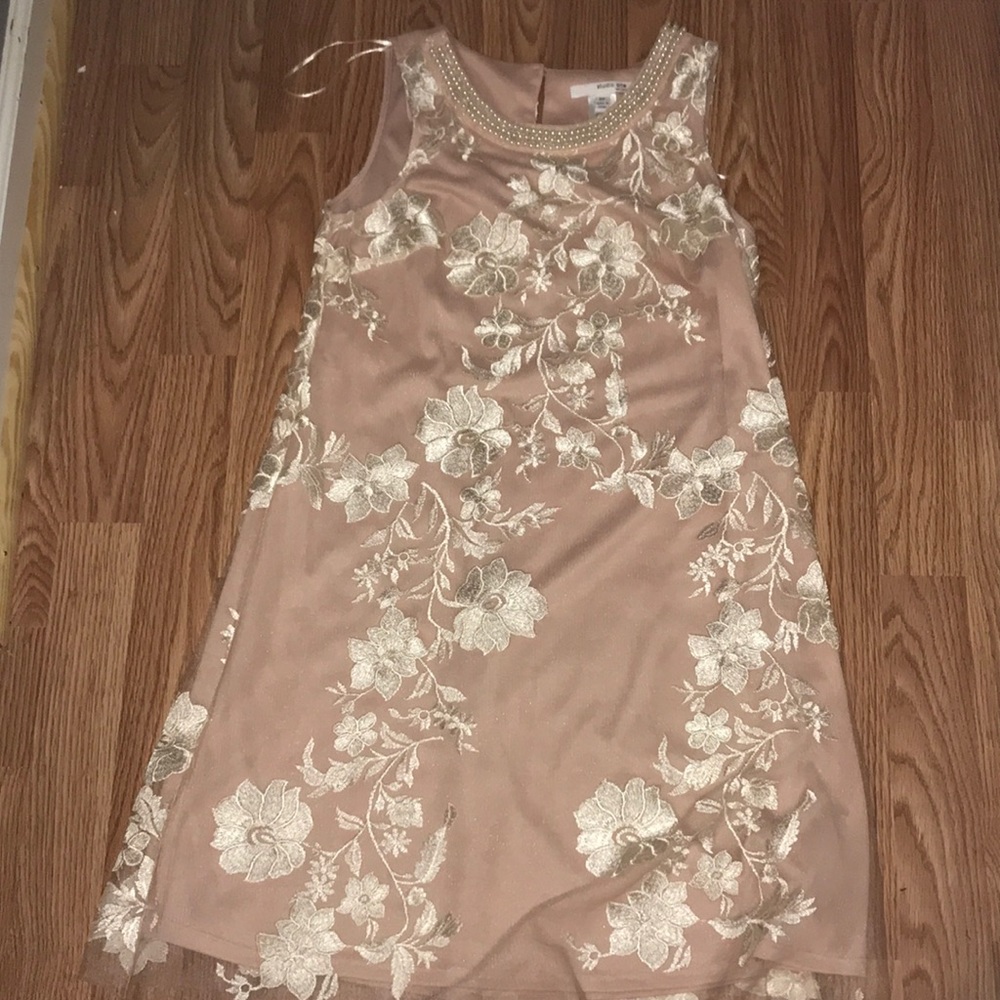 blush knee length 6 petite dress